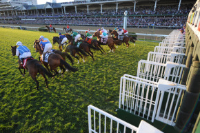 8-tips-for-maximizing-your-breeders-cup-bet