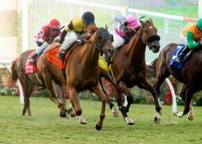 how-to-jump-start-your-2018-horse-racing-bets