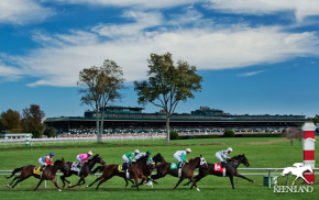 keeneland-launches-mini-meet-kentucky-derby-prep-races-conti
