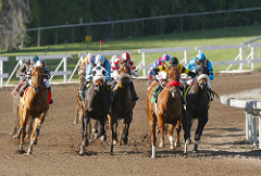 lifting-sports-betting-ban-could-help-horseracing