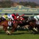 santa-anita-keeneland-aqueduct-offer-a-peek-at-the-kentucky-