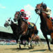 campaign-to-bolster-pa-horse-racing