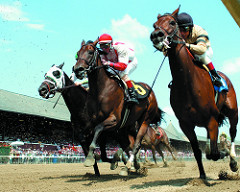 campaign-to-bolster-pa-horse-racing