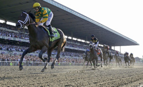 will-justify-take-the-triple-crown