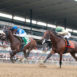 belmont-kicks-off-stars-stripes-racing-festival-july-7