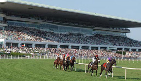 pennsylvania-operators-pony-up-for-igaming-licenses