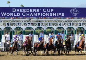 10-ways-to-bet-on-the-breeders-cup