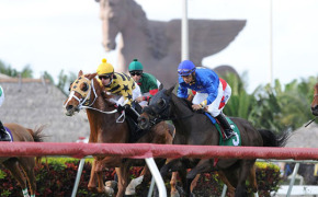 pegasus-world-cup-on-january-26-offers-an-array-of-irresisti